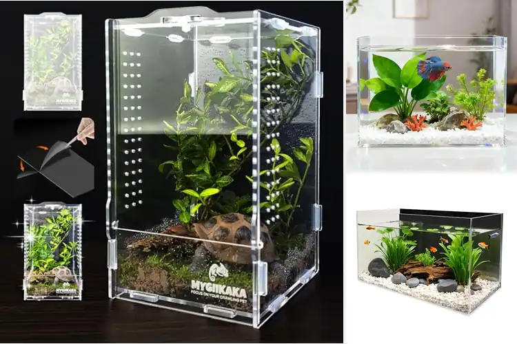 Detailed view of Best Acrylic Tanks: Find Your Perfect Calm-Inducing Aquarium