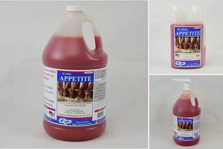 Detailed view of Best Appetite Stimulants For Horses