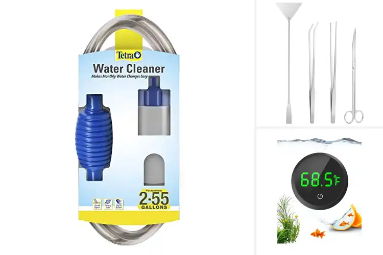 Detailed view of Best Aquarium Accessories