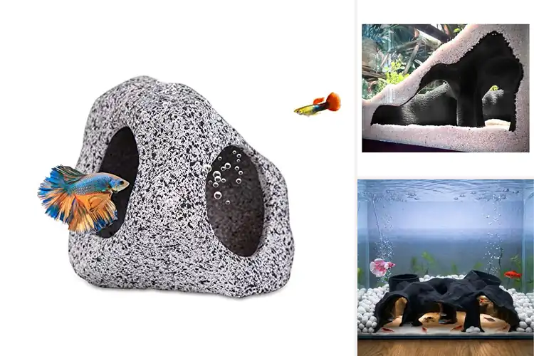 Detailed view of Best Aquarium Caves