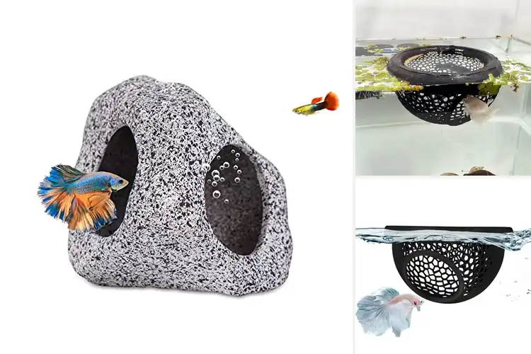 Detailed view of Best Betta Hides for a Calm, Happy Fish