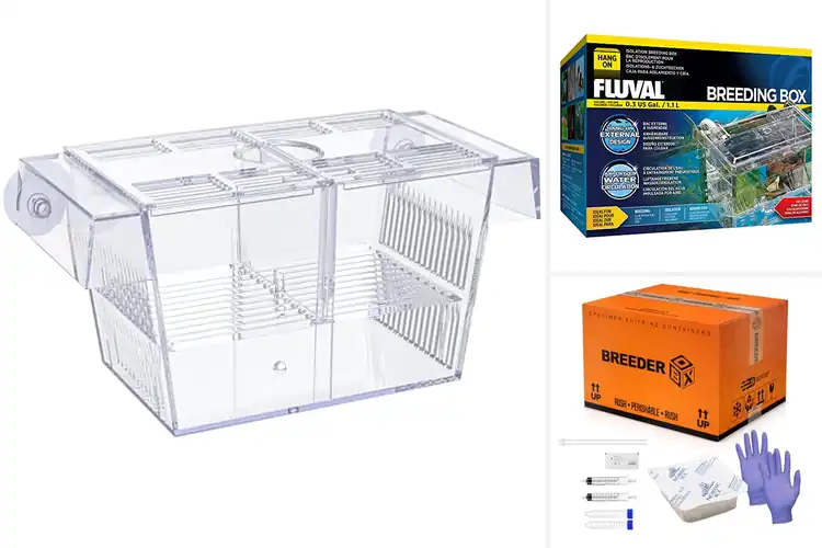 Detailed view of Best Breeder Boxes: Keep Your Baby Fish Safe & Thriving