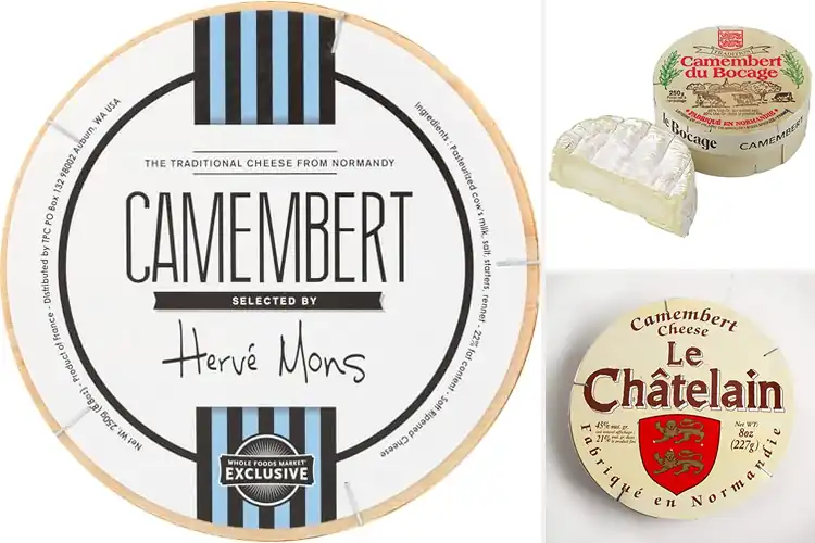 Detailed view of Best Camembert Cheeses: Top Creamy Picks for Your Next Meal