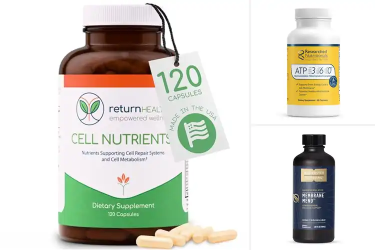 Detailed view of Best Cell Membrane Supplements