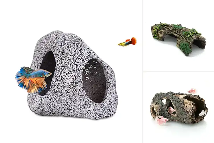 Detailed view of Best Fish Hideouts: Top Picks for a Calm, Lively Tank