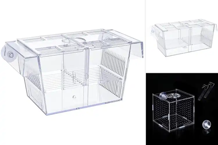 Detailed view of Best Fish Isolation Units