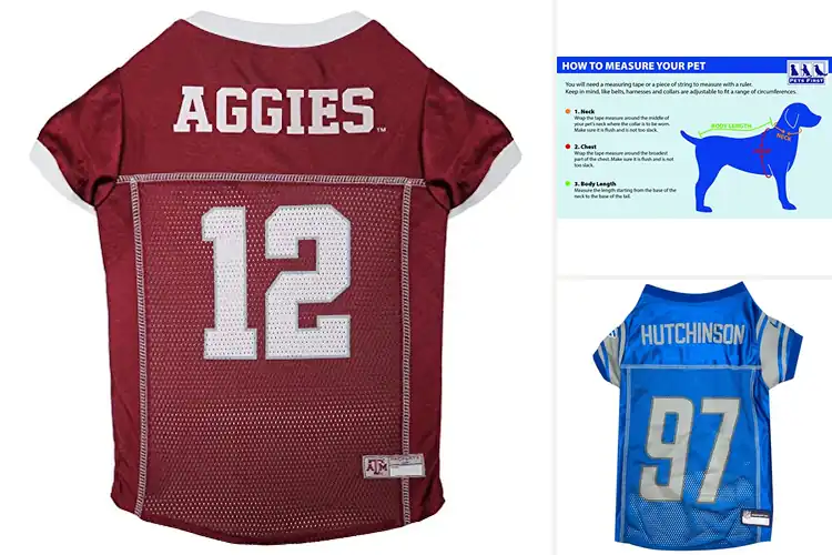 Detailed view of Best Game Day Ready Pet Jerseys: Stand Out & Shine