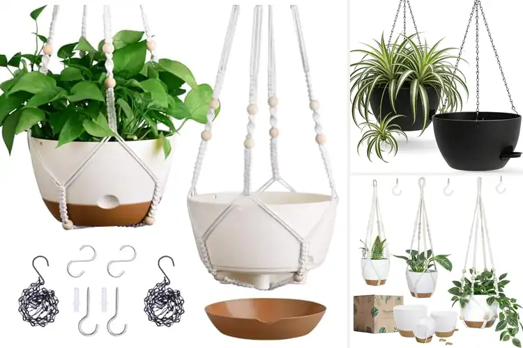 Detailed view of Best Hanging Planters: Top 10 Picks to Elevate Your Space