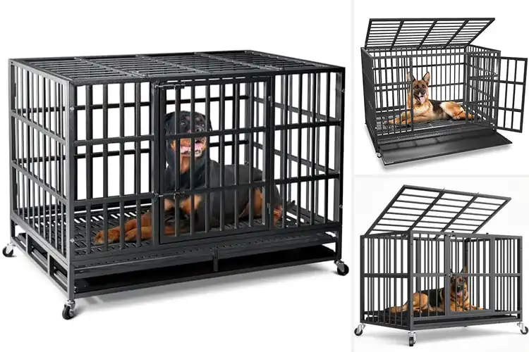 Detailed view of Best Heavy Duty Dog Kennels
