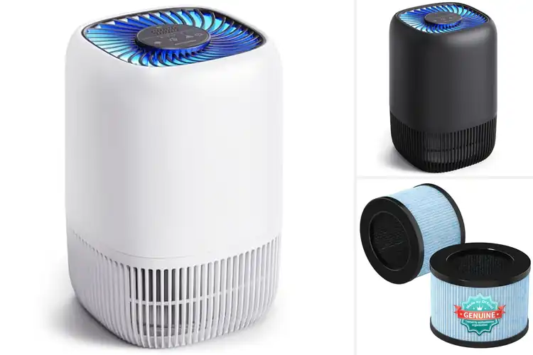 Detailed view of Best High Efficiency Air Filters
