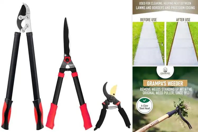 Detailed view of Best Landscaping Tools for Easy Yard Care