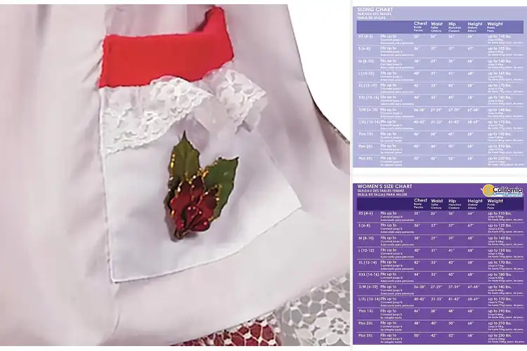 Detailed view of Best Mrs Claus Costumes: 4 Festive & Comfy Picks for You