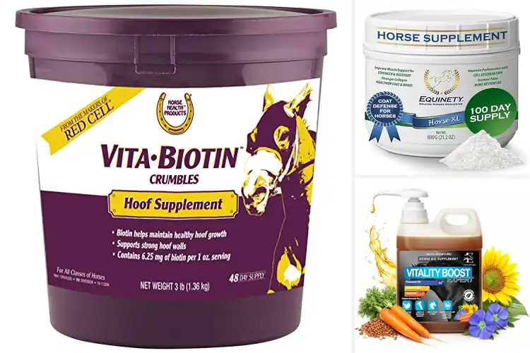 Detailed view of Best Natural Horse Supplements