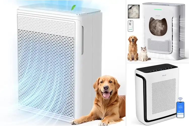 Detailed view of Best Pet Dander Filters