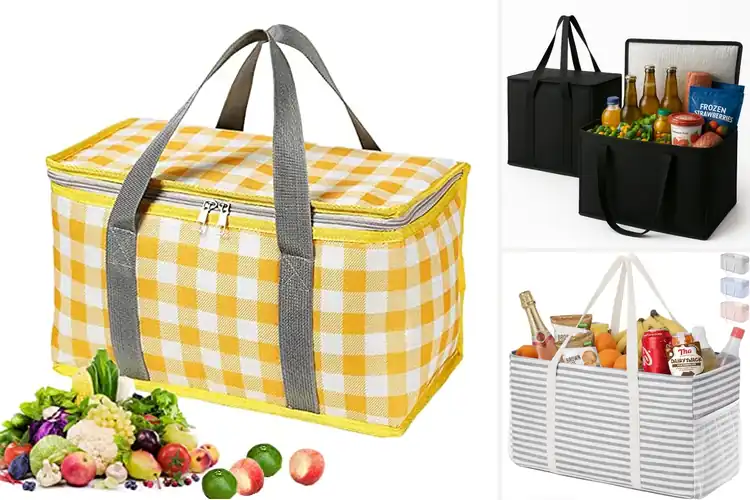 Detailed view of Best Picnic Bags: Top 10 Durable Picks for Outdoors