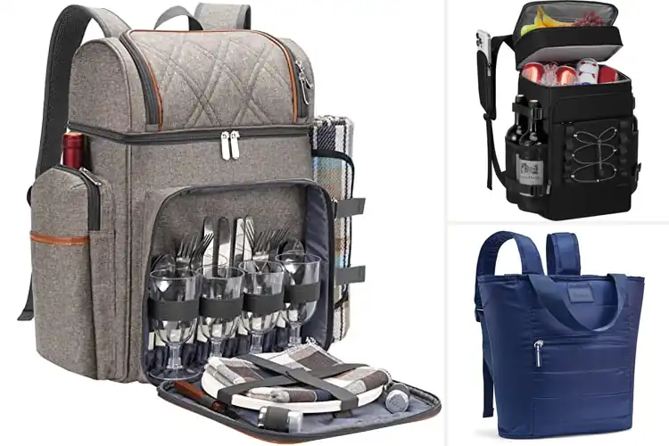 Detailed view of Best Picnic Tote Backpacks for Easy, Fresh Outdoor Dining
