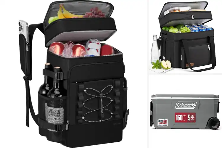 Detailed view of Best Portable Picnic Coolers