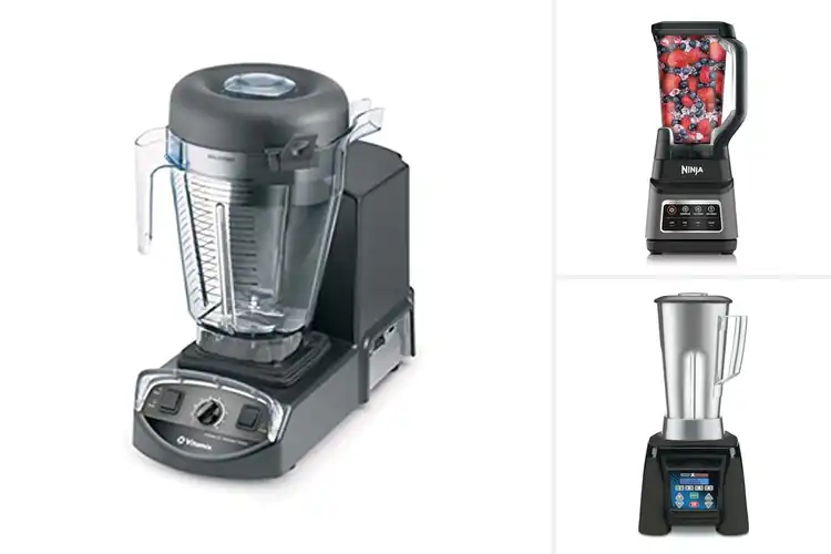 Detailed view of Best Programmable Blenders