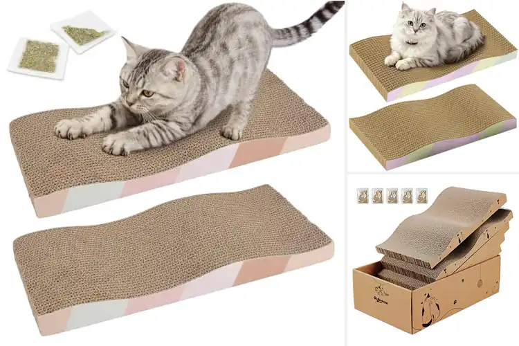 Detailed view of Best Reversible Cat Scratchers