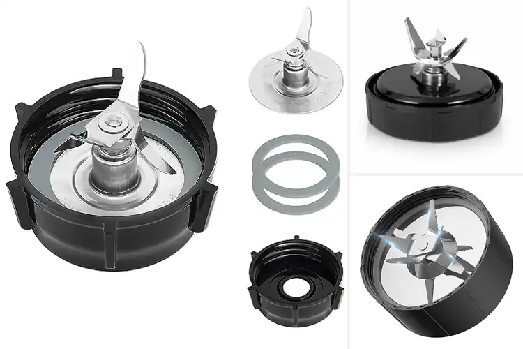 Detailed view of Best Stainless-Steel Blade Blenders