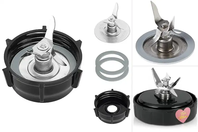 Detailed view of Best Stainless-Steel Blades Blenders
