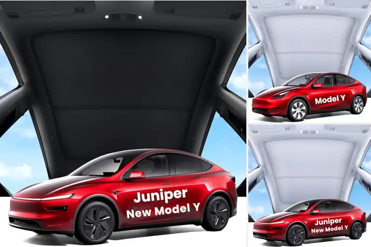 Detailed view of Best Sunroof Sunshades: Cool Comfort for Every Drive