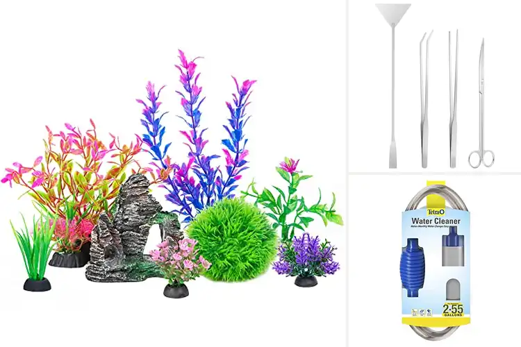 Detailed view of Best Tank Accessories for a Peaceful, Lively Setup